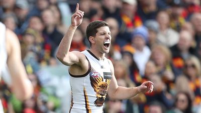 'Grumpy old' Hawks stars re-signed ahead of AFL finals