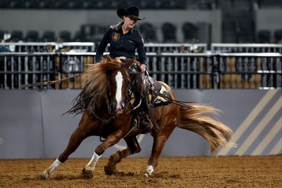 Feed that killed 70 rodeo horses in Oklahoma was contaminated with toxic additive