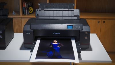 Canon ImagePrograf Pro-1100 review: if you're a pro, you NEED this printer