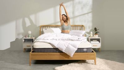 Panda London upgrades its sleep collection with its most eco-friendly mattress yet