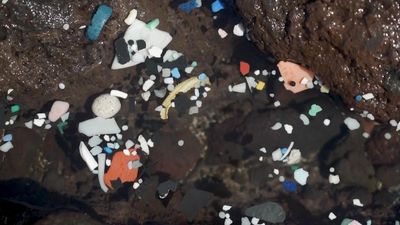 Drowning in rubbish: Easter Island leads the fight against plastic pollution