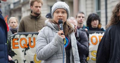 Greta Thunberg arrested at pro-Palestine protest