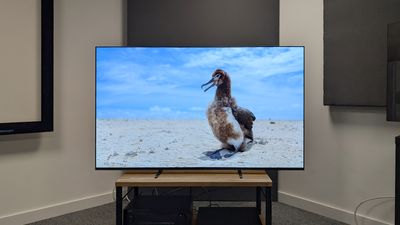 Sony's only 2024 OLED TV, the Bravia 8 has already had its price slashed