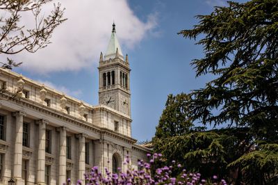 UC Berkeley, Illinois, and Marshall are home to the top online data science master’s programs. Did your school make the list?