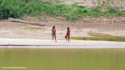 Worlds most isolated tribe kill loggers encroaching on their land deep in Amazon rainforest