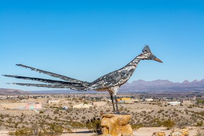 New Mexico’s sovereign wealth fund is investing $50M in a bet that scientists will build startups in Albuquerque