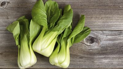 How to grow bok choy – a simple cool-weather vegetable ideal for multiple harvests