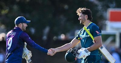 Australia show their strength as Scotland are thrashed in opening T20 international