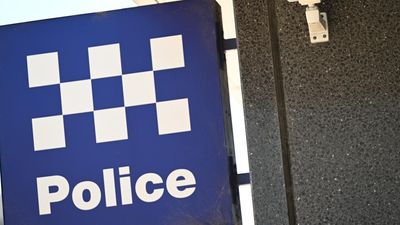 Police officers accused of watchhouse prisoner assault