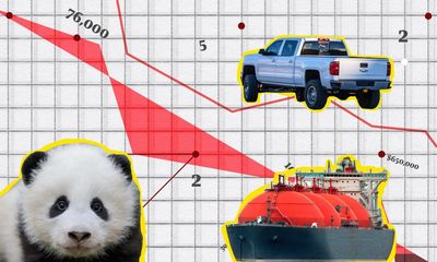 The Crunch: big cars and road deaths, the people’s verdict on CEO salaries and tracking baby pandas