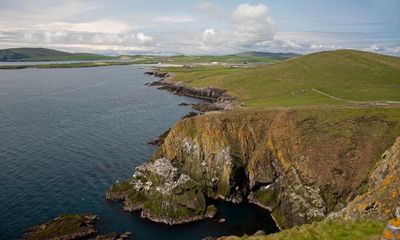 Country diary: All set for takeoff on the blustery cliffs