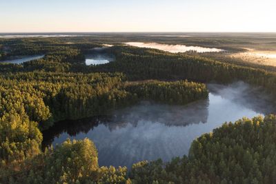 How this naked, sweaty sauna ritual in Estonia ended up being the most empowering girls’ weekend away