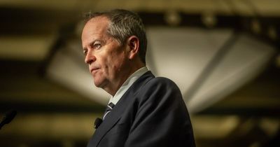 Shorten 'needs to know what he is walking into': New VC welcomed, with a caveat