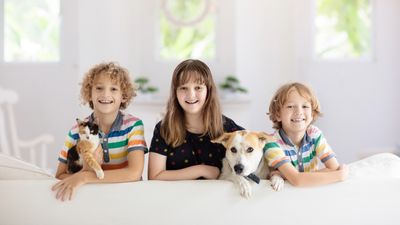 Try these five expert-approved tips to help make life easier for your pets when the kids go back to school