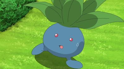 Official Pokemon stream asks players to "Discover Oddish," mysteriously runs a blank screen for 16 hours, refuses to elaborate