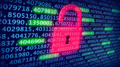 Don't lose trust after data breaches – 4 tips to keep your data safe