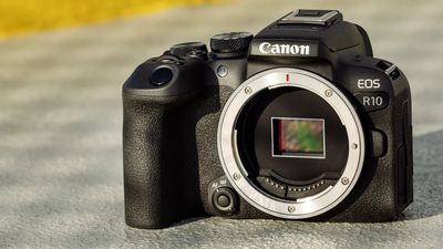 Move over Sony! Canon is back on top in Japan, with a dramatic sales recovery