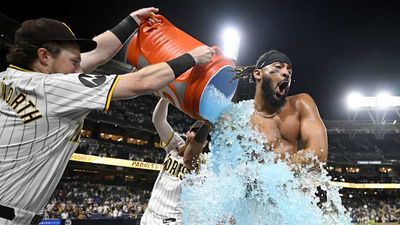 Fernando Tatis Jr. Says He Took Tigers' Decision 'Personal' Before Walk-Off Hit