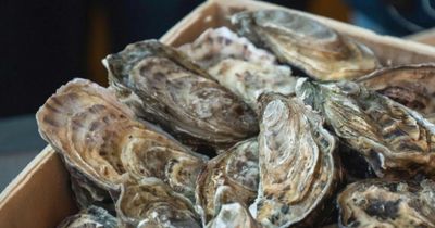 Warning not to eat shellfish with high toxin levels found in Scottish lochs lifted