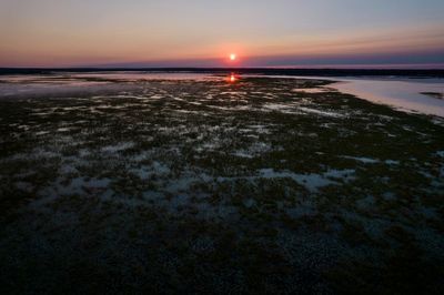 Human remains believed to be hundreds of years old found on shores of Minnesota lake