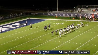 DII Punter's Stunning 80-Yard Kick Is Contender for College Football Play of the Year