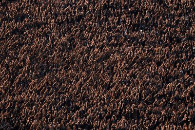 AP Week in Pictures: Latin America and Caribbean