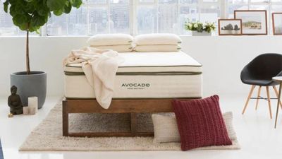 The Avocado Organic Latex Mattress Topper is a luxe upgrade for eco-conscious shoppers