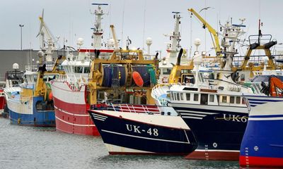 EU failing to enforce illegal fishing rules, say campaigners