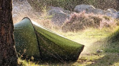 Skin-crawling pic of a Scottish midges swarming round tent is straight out of a backwoods horror movie