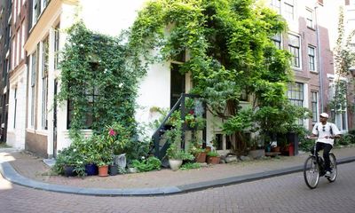 Amsterdammers left bemused at plan to tackle flowerpot ‘jungle’