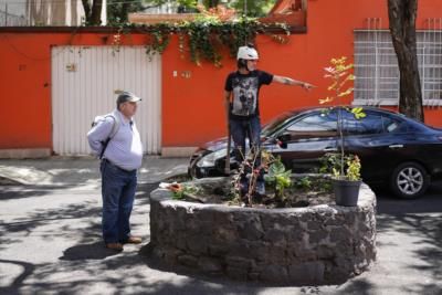 Mexico City Activist Leads Tree Protection Movement