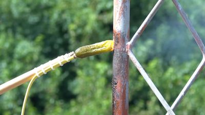 If you put hot dogs and pickles against an AM radio tower, they act as speakers. Also, don't do that