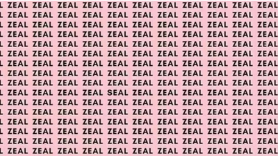 Viral optical illusion challenges you to spot SEAL in under 5 seconds