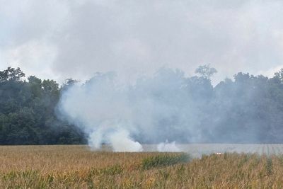 A small plane from Iowa crashed in an Indiana cornfield, killing everyone onboard