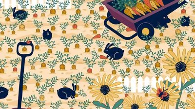 Optical Illusion: Can you find a ring in this picture?