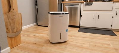 Honeywell 50 Pint Dehumidifier review