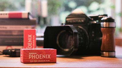 Harman Phoenix color print film is now available in 120 rolls