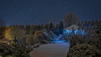 How to light a yard for winter – 5 elegant and practical methods from lighting experts