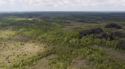 Florida's water supply is at high risk of experiencing shortages for next year