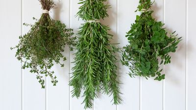 How to Dry and Store Fresh Garden Herbs to Keep Your Kitchen Stocked All Winter Long