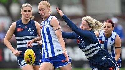 North, Geelong play out draw after Cats stage comeback