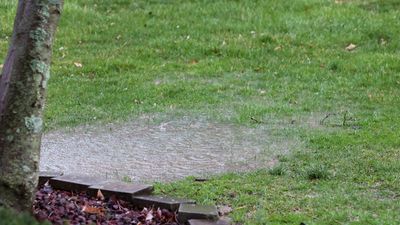 5 ways to protect your lawn from flooding — tips from garden experts