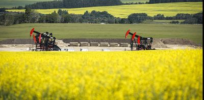 China’s probe of Canadian canola will put both exports and farmers in jeopardy