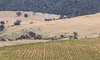 Company linked to Angus Taylor offered ‘generous’ offset calculation after illegal land clearing, FoI letters reveal