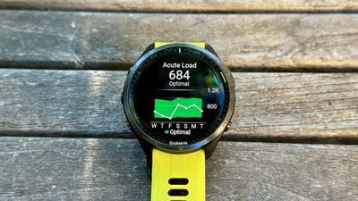 I depend on this Garmin training tool to improve, but it needs one obvious fix