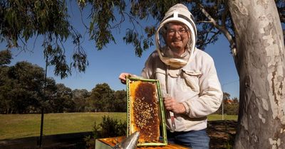 You can't bee serious: does honey provide hayfever relief?