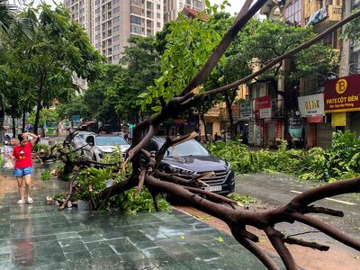 Bridge collapses as more rain falls in Vietnam and storm deaths rise to 21