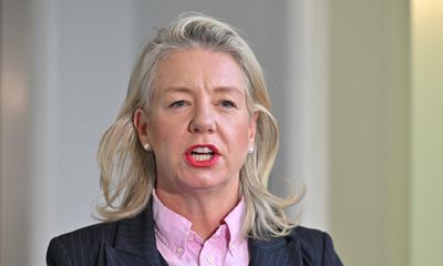 Bridget McKenzie forced to deny her oped on aviation divestiture signals support for breaking up Qantas