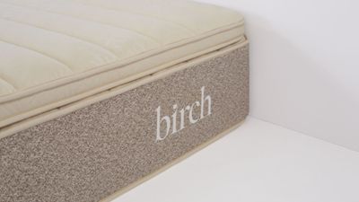 Is the Birch Plush Organic Mattress Topper worth the price? Our test results are in