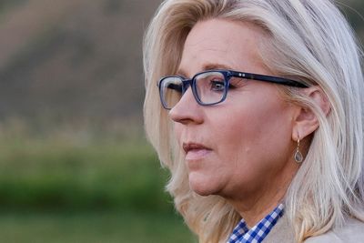 'Donald Trump Is Not A Conservative': Liz Cheney